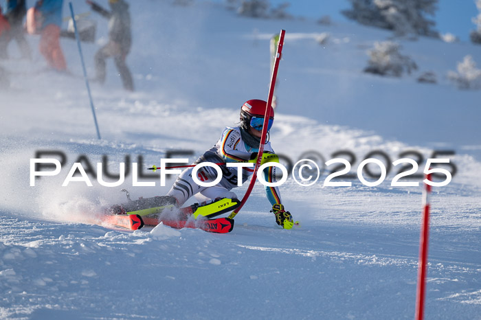 NJC Slalom Damen 15.02.2025