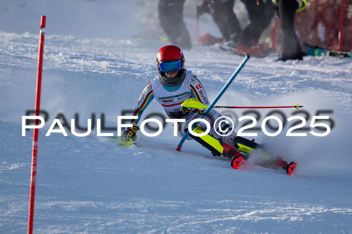 NJC Slalom Damen 15.02.2025