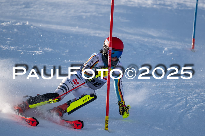 NJC Slalom Damen 15.02.2025