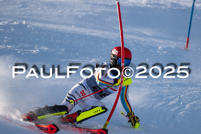 NJC Slalom Damen 15.02.2025