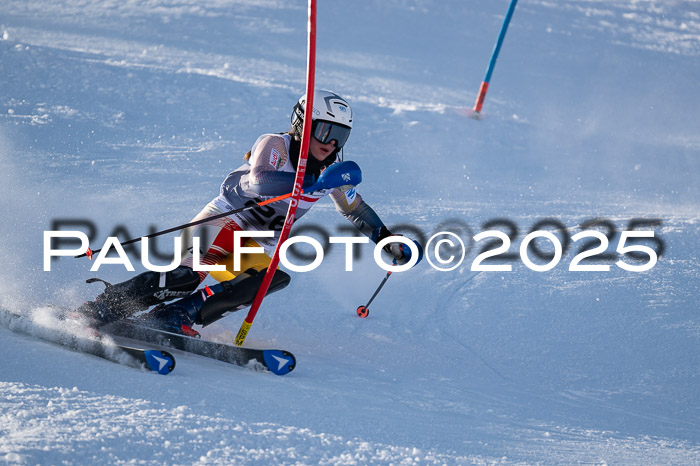 NJC Slalom Damen 15.02.2025