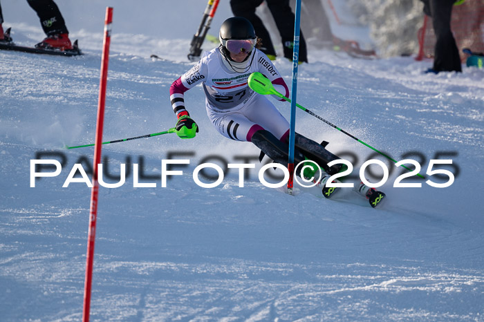 NJC Slalom Damen 15.02.2025