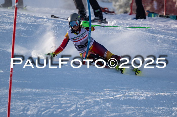 NJC Slalom Damen 15.02.2025