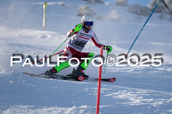 NJC Slalom Damen 15.02.2025