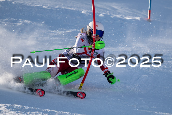 NJC Slalom Damen 15.02.2025