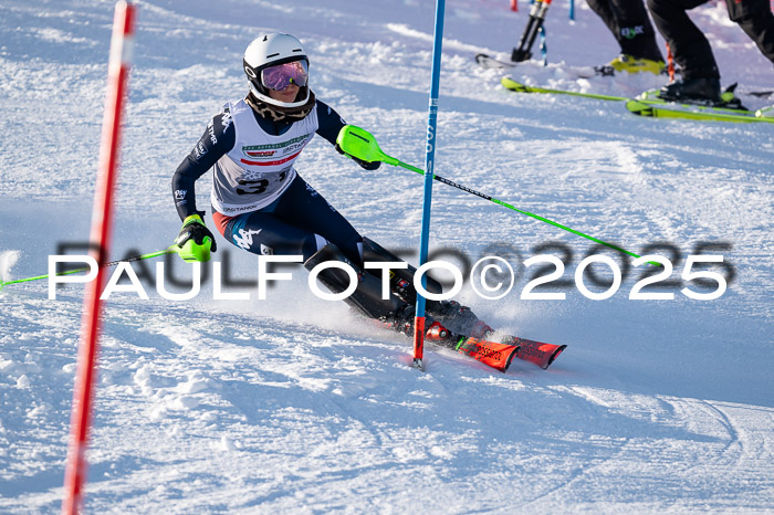 NJC Slalom Damen 15.02.2025