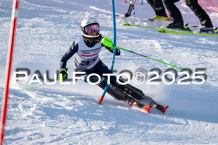 NJC Slalom Damen 15.02.2025