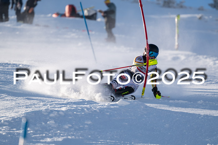 NJC Slalom Damen 15.02.2025