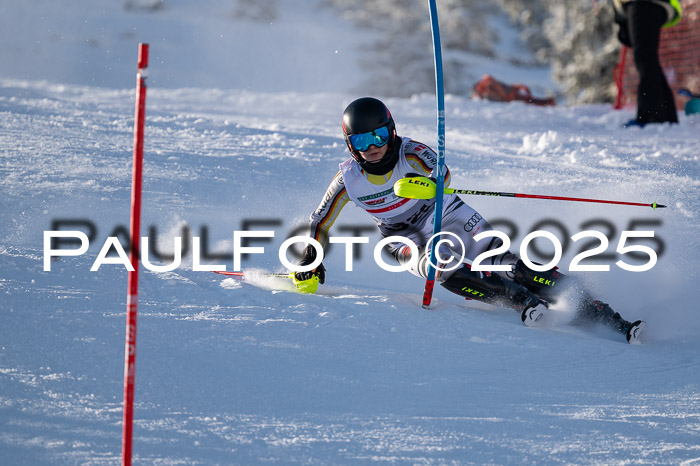 NJC Slalom Damen 15.02.2025