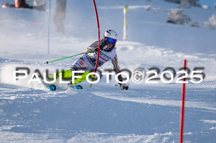 NJC Slalom Damen 15.02.2025