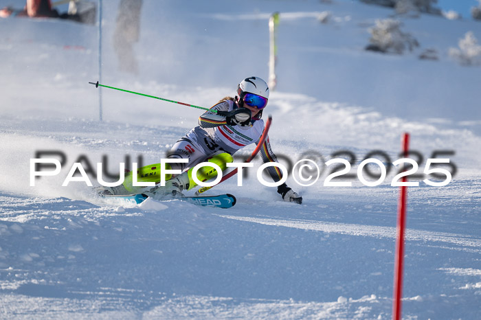 NJC Slalom Damen 15.02.2025