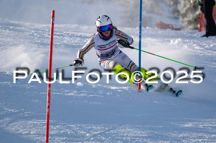 NJC Slalom Damen 15.02.2025