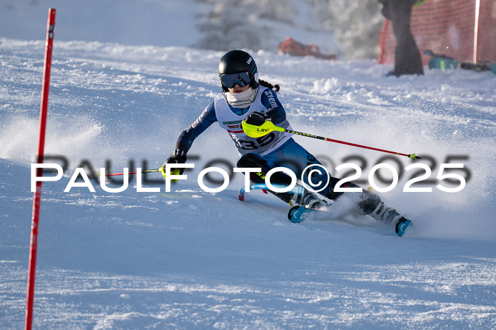 NJC Slalom Damen 15.02.2025