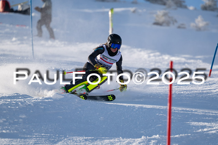 NJC Slalom Damen 15.02.2025