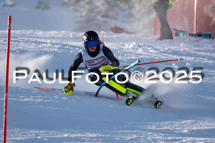NJC Slalom Damen 15.02.2025