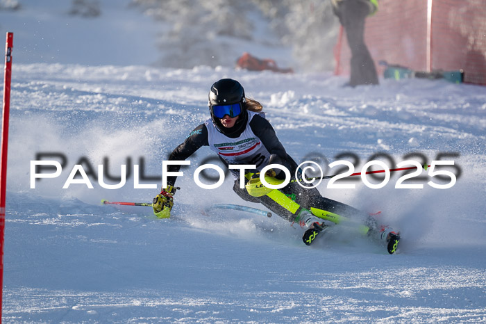 NJC Slalom Damen 15.02.2025