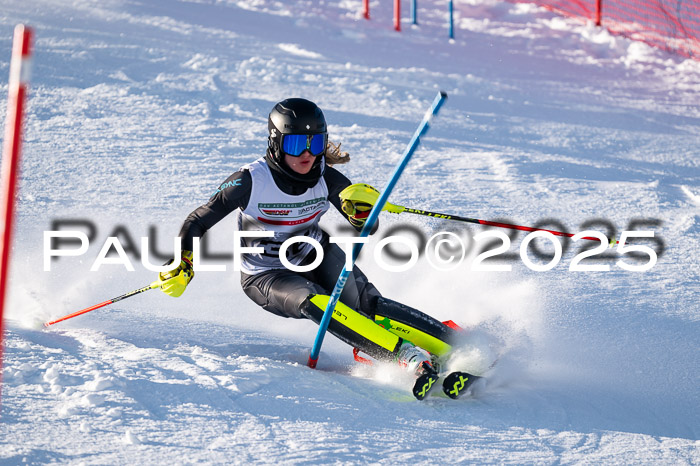 NJC Slalom Damen 15.02.2025
