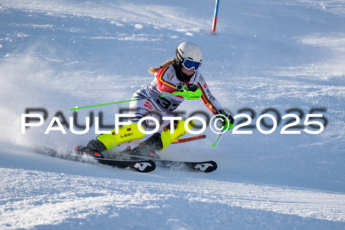 NJC Slalom Damen 15.02.2025