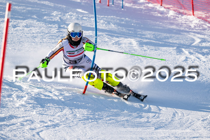 NJC Slalom Damen 15.02.2025