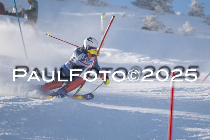NJC Slalom Damen 15.02.2025