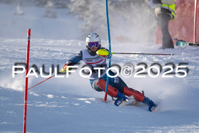 NJC Slalom Damen 15.02.2025