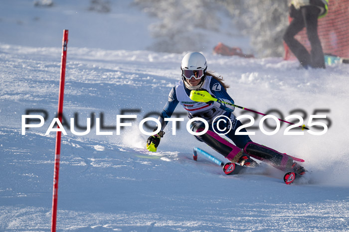 NJC Slalom Damen 15.02.2025
