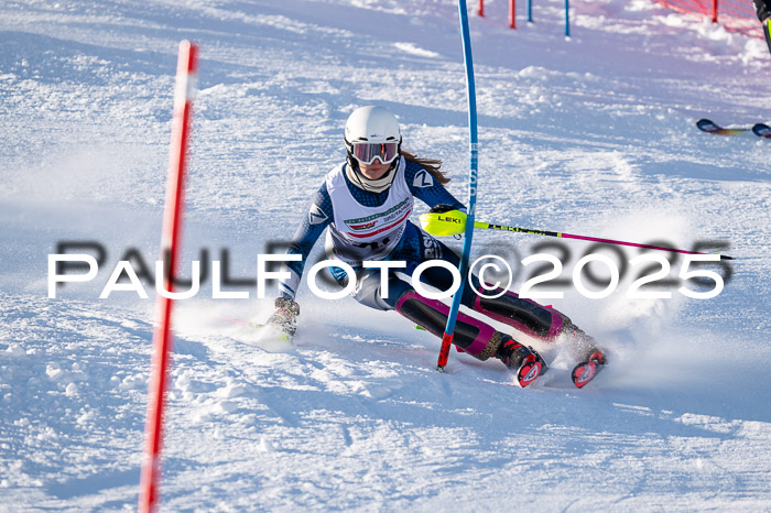 NJC Slalom Damen 15.02.2025