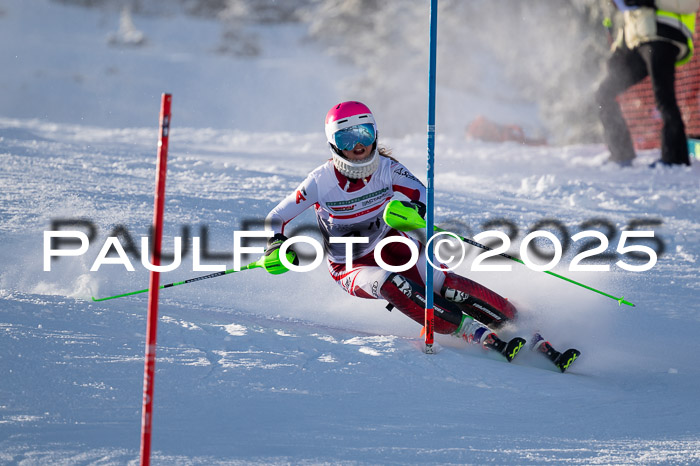 NJC Slalom Damen 15.02.2025