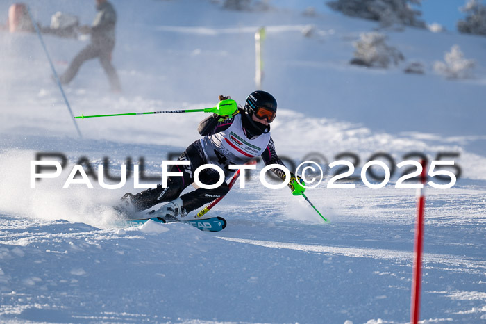 NJC Slalom Damen 15.02.2025