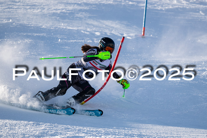 NJC Slalom Damen 15.02.2025