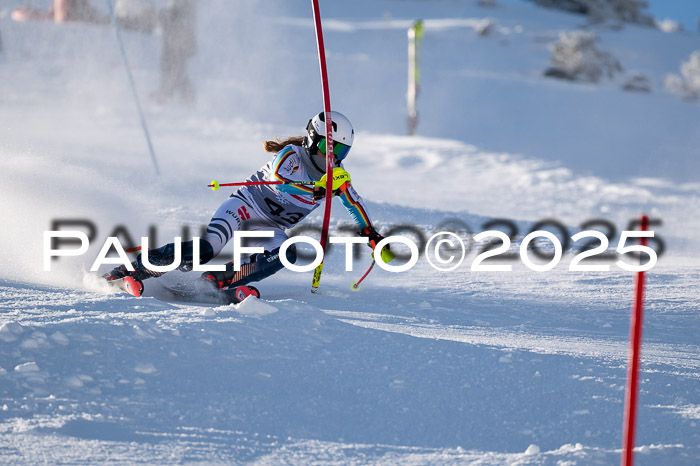 NJC Slalom Damen 15.02.2025