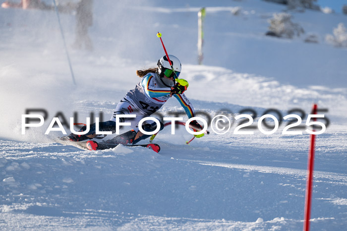 NJC Slalom Damen 15.02.2025