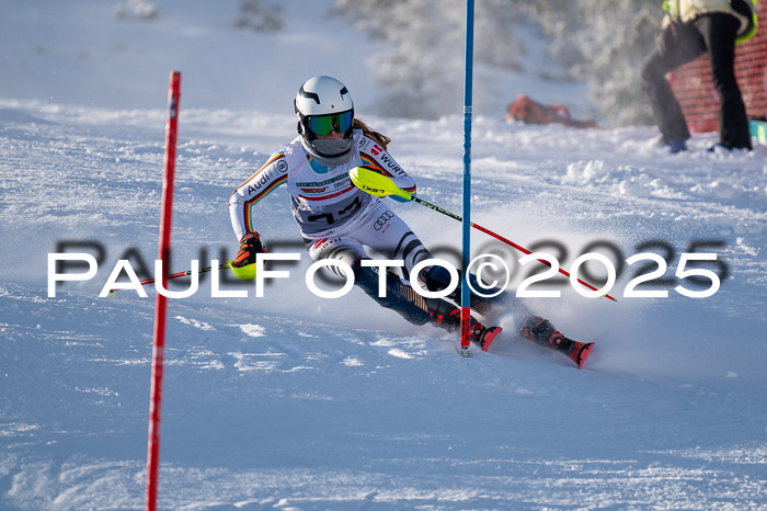 NJC Slalom Damen 15.02.2025