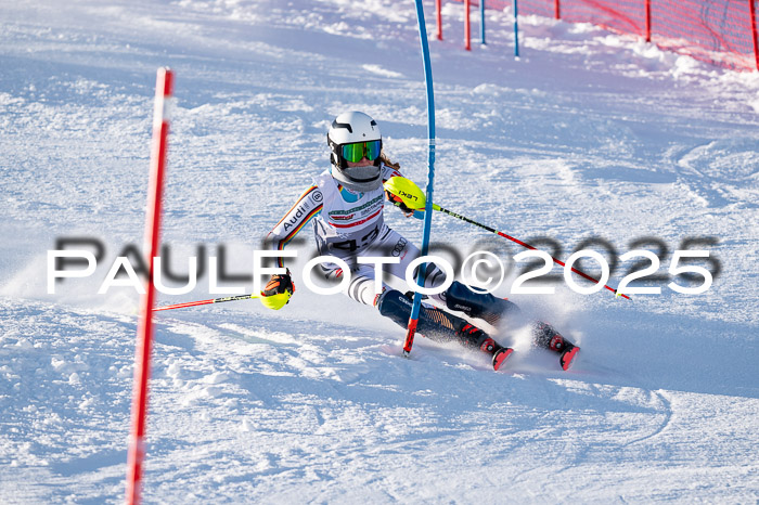 NJC Slalom Damen 15.02.2025