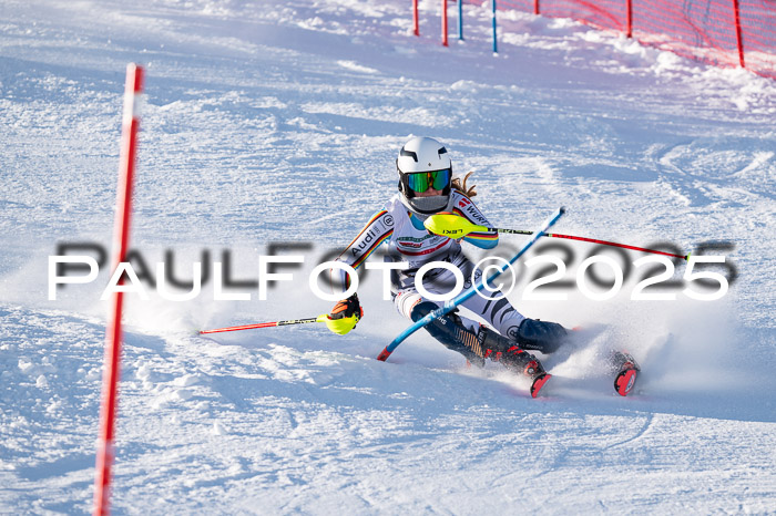 NJC Slalom Damen 15.02.2025