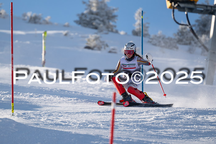 NJC Slalom Damen 15.02.2025