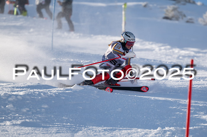 NJC Slalom Damen 15.02.2025