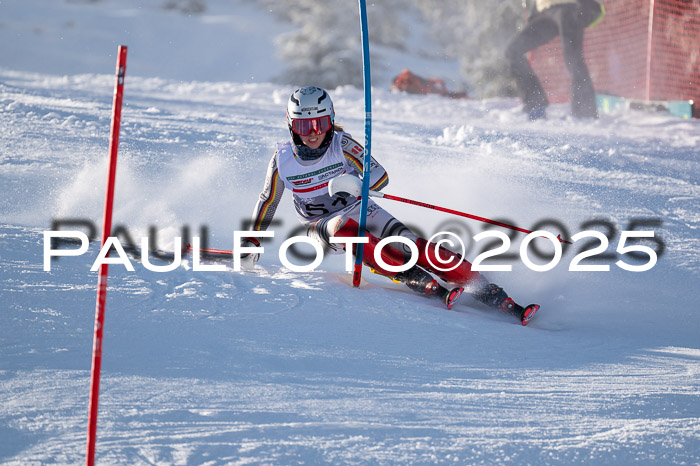 NJC Slalom Damen 15.02.2025