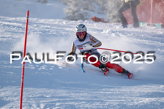 NJC Slalom Damen 15.02.2025