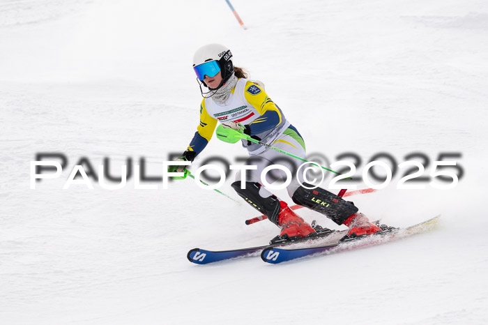 NJC Slalom Damen 15.02.2025