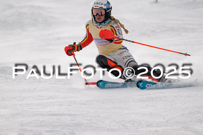 NJC Slalom Damen 15.02.2025