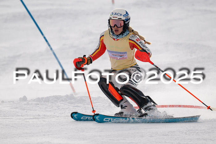 NJC Slalom Damen 15.02.2025
