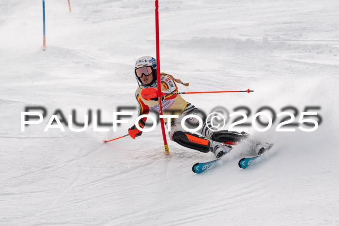 NJC Slalom Damen 15.02.2025