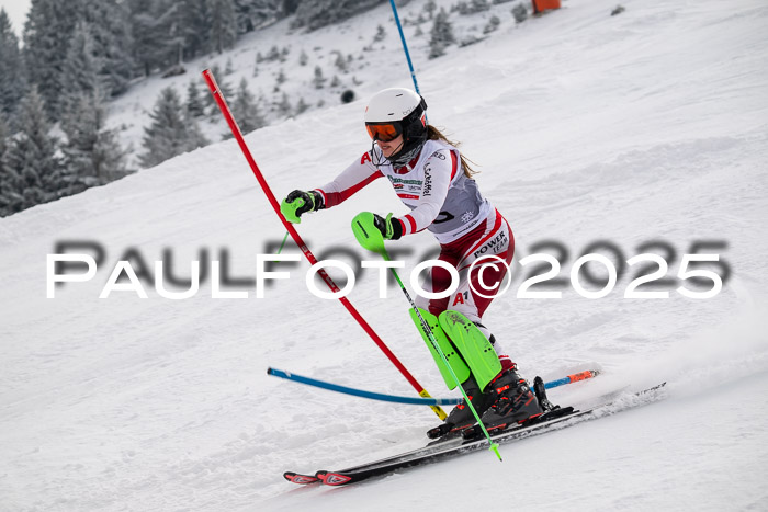 NJC Slalom Damen 15.02.2025