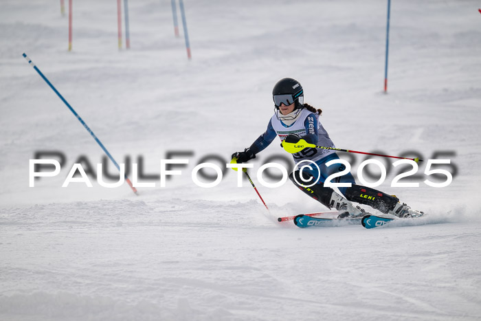 NJC Slalom Damen 15.02.2025