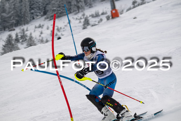 NJC Slalom Damen 15.02.2025
