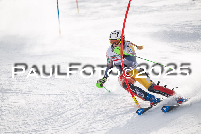 NJC Slalom Damen 15.02.2025