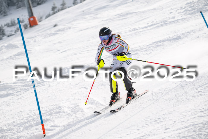 NJC Slalom Damen 15.02.2025