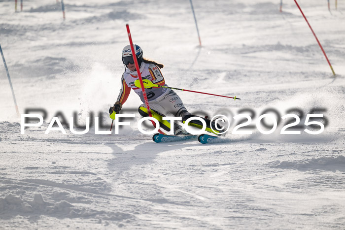 NJC Slalom Damen 15.02.2025