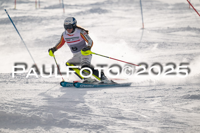 NJC Slalom Damen 15.02.2025